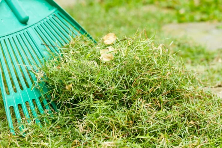 Why Is There A Strange Freshly Cut Grass Smell In My House?