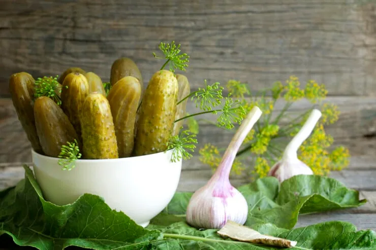 Why is There a Strange Pickles Smell in My House?