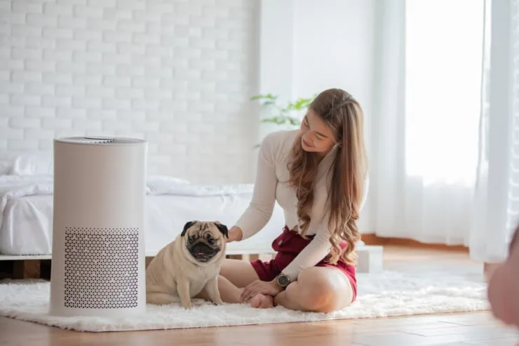 Why is There a Strange Ozone Smell In My House?