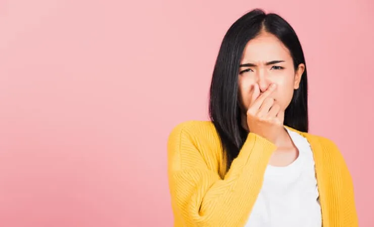 Why is There a Strange Ozone Smell In My House?
